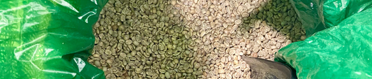 Cafe en Grano Talento Coffe