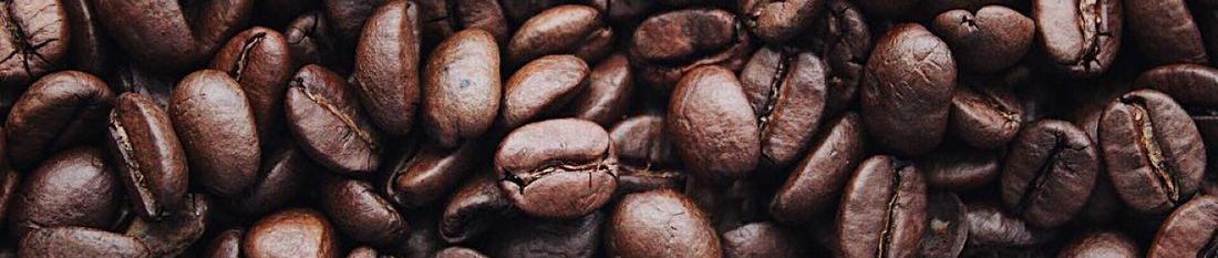 ¿Cómo preparar el café de especialidad?