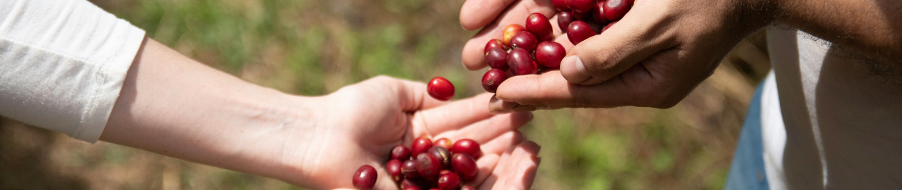 Impacto Social del Café de Especialidad: Una Taza que Cambia Vidas