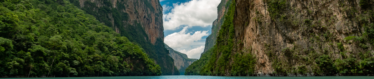 Ixtepec, Chiapas: El Café de Talento Coffee que Sorprende