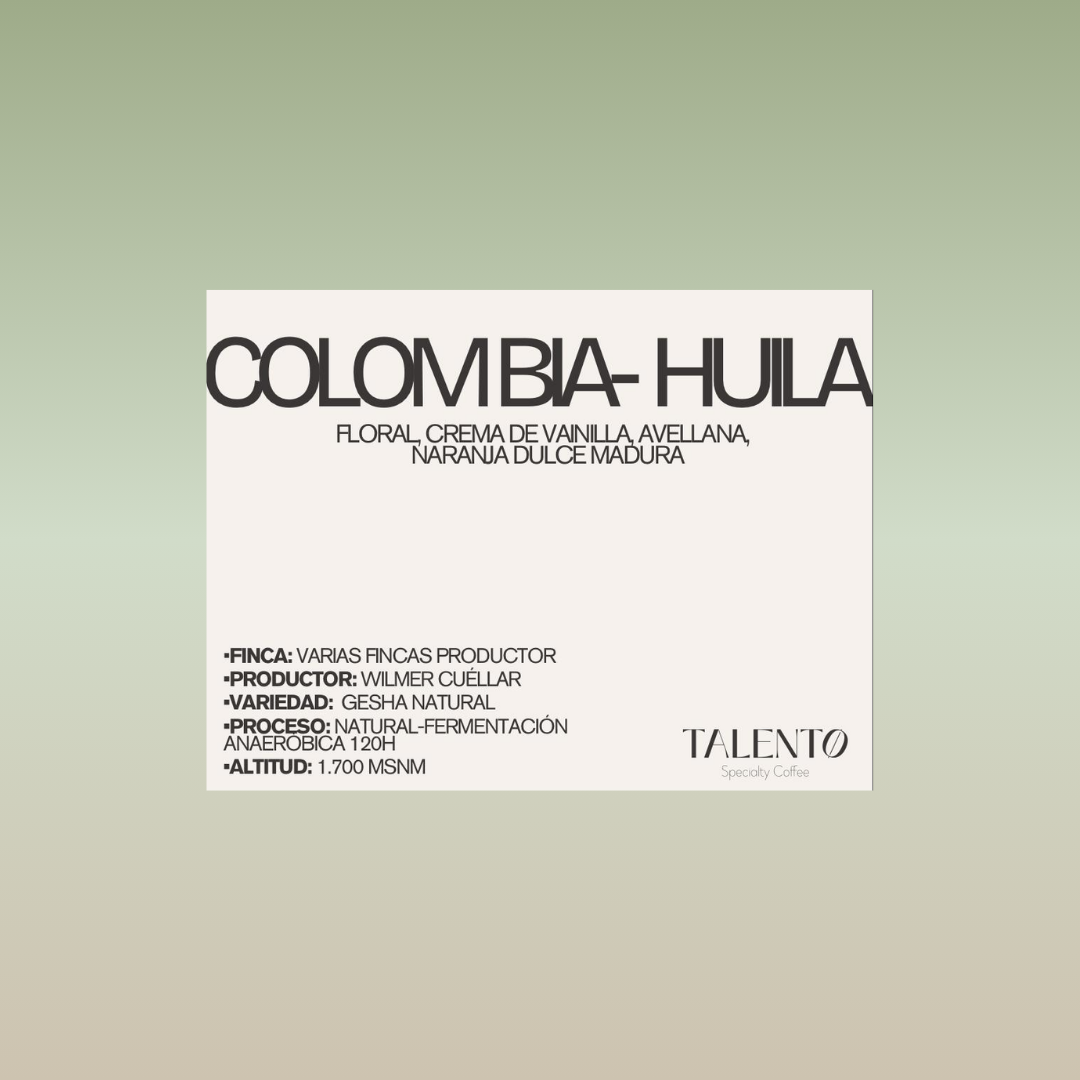 COLOMBIA - HULIA - GESHA