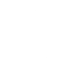 Excelencia en cada taza